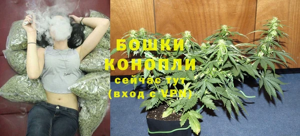 амф Арсеньев