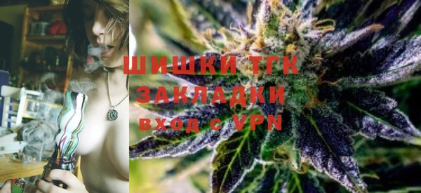 spice Аркадак