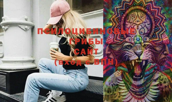 круглые Алзамай