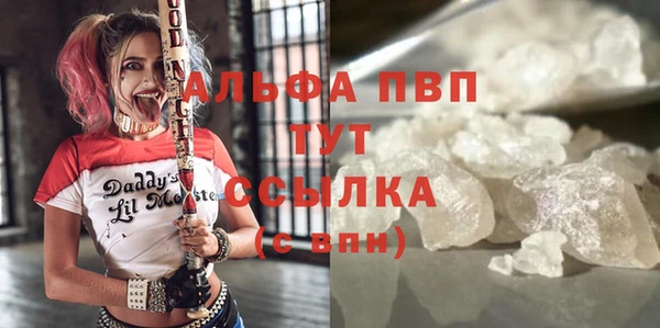 индика Балабаново